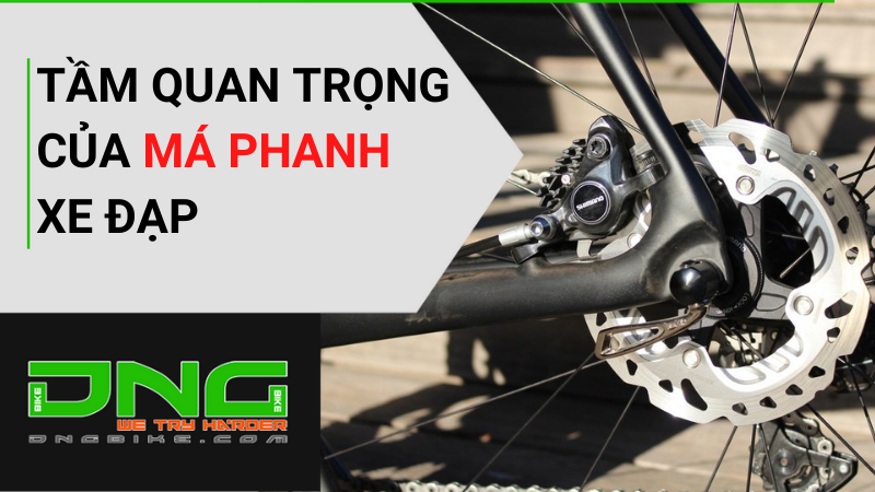 Xe giẫm Mini CAVANIO Spring 24 Khung Nhôm Group SHIMANO MicroShift 7 tốc phỏng Lốp KENDA 24x1 38 Xe Đạp Toàn Phát #37 Xe giẫm Mini CAVANIO Spring 24 Khung Nhôm Group SHIMANO MicroShift 7 tốc phỏng Lốp KENDA 24x1 38 Xe Đạp Toàn Phát